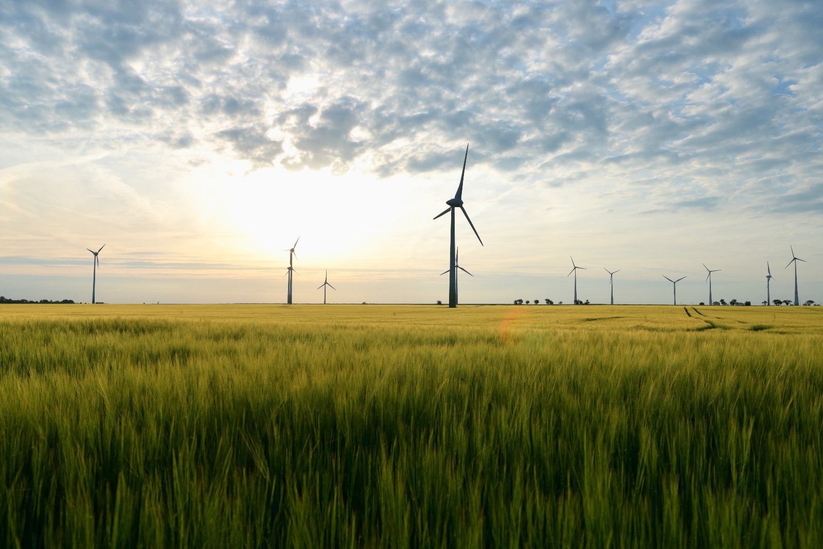 Future-Ready Sustainability